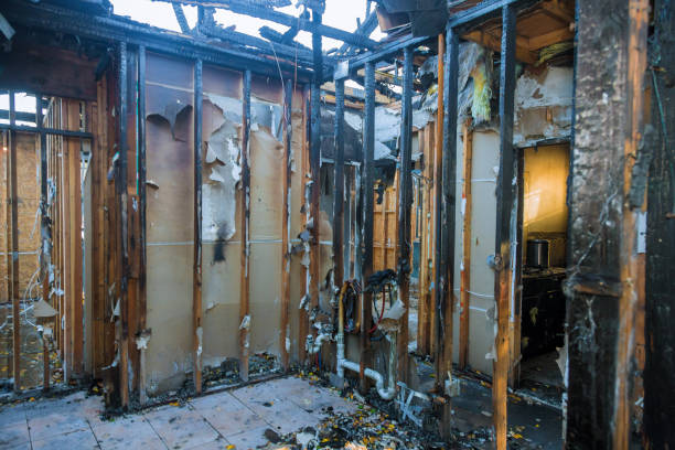 Professional Fire Damage Removal technician working in Vilonia, AR